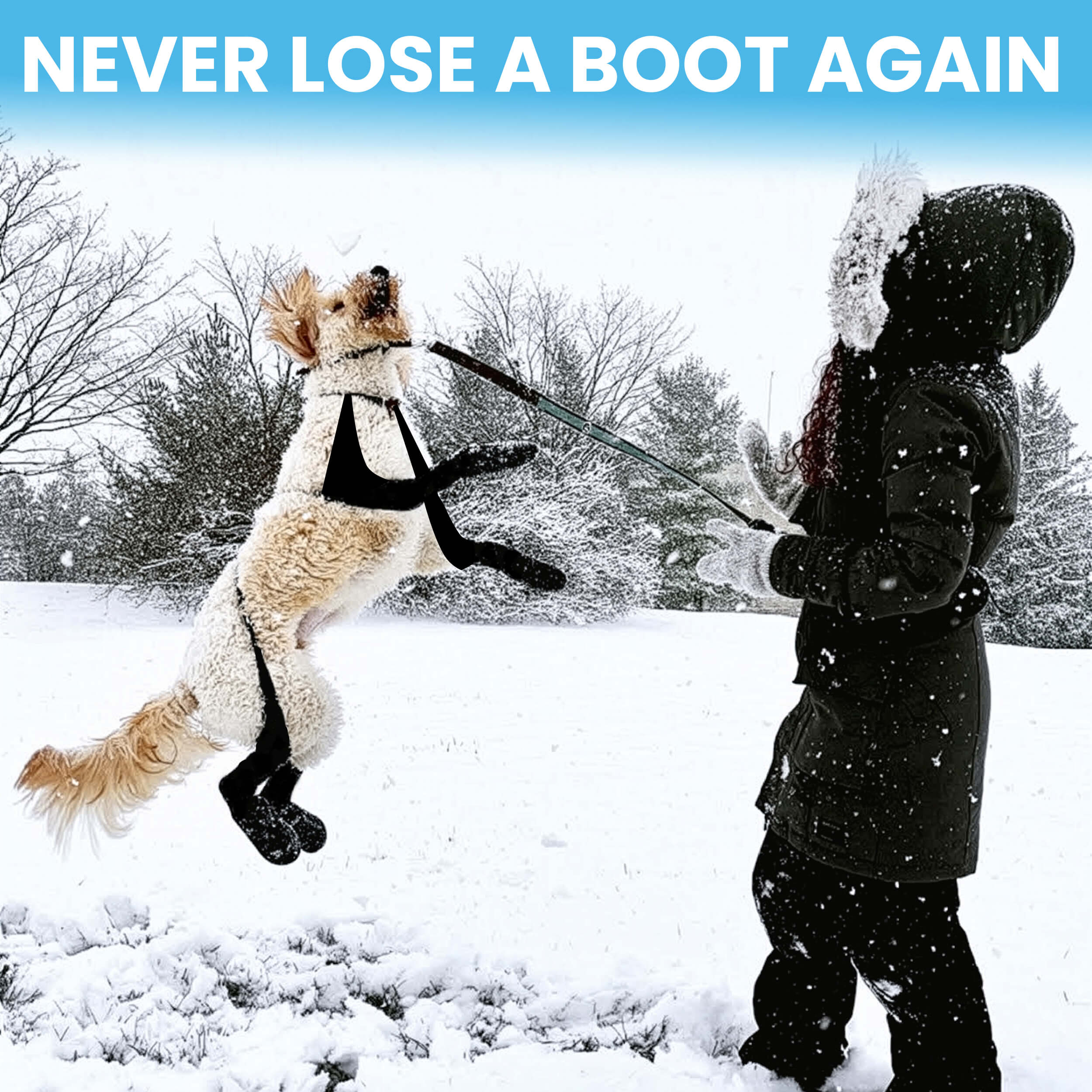 Person and dog playing in snow; dog wearing boots, jumping on a leash.