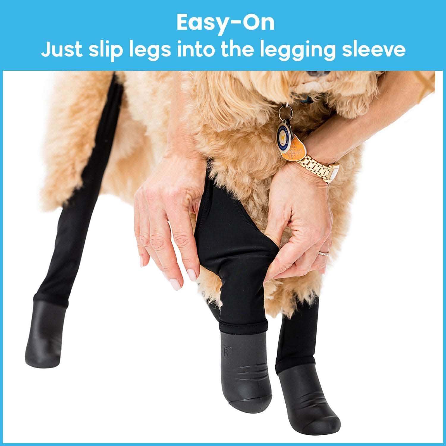 Person putting black leggings on a dog's legs.