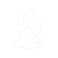 Silhouette of a dog with water droplets above.