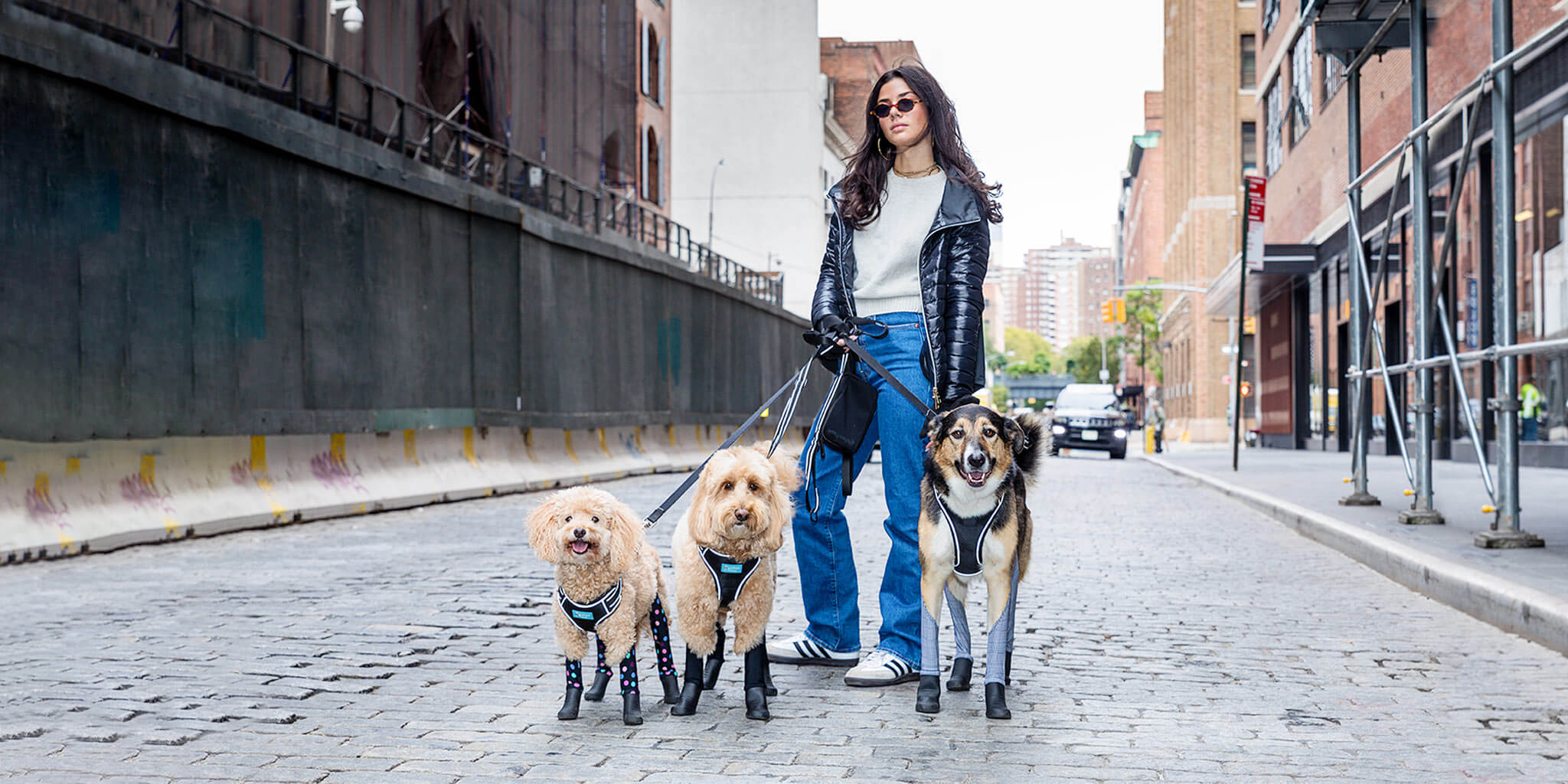 Person walking three dogs on a city street, all wearing matching boots.