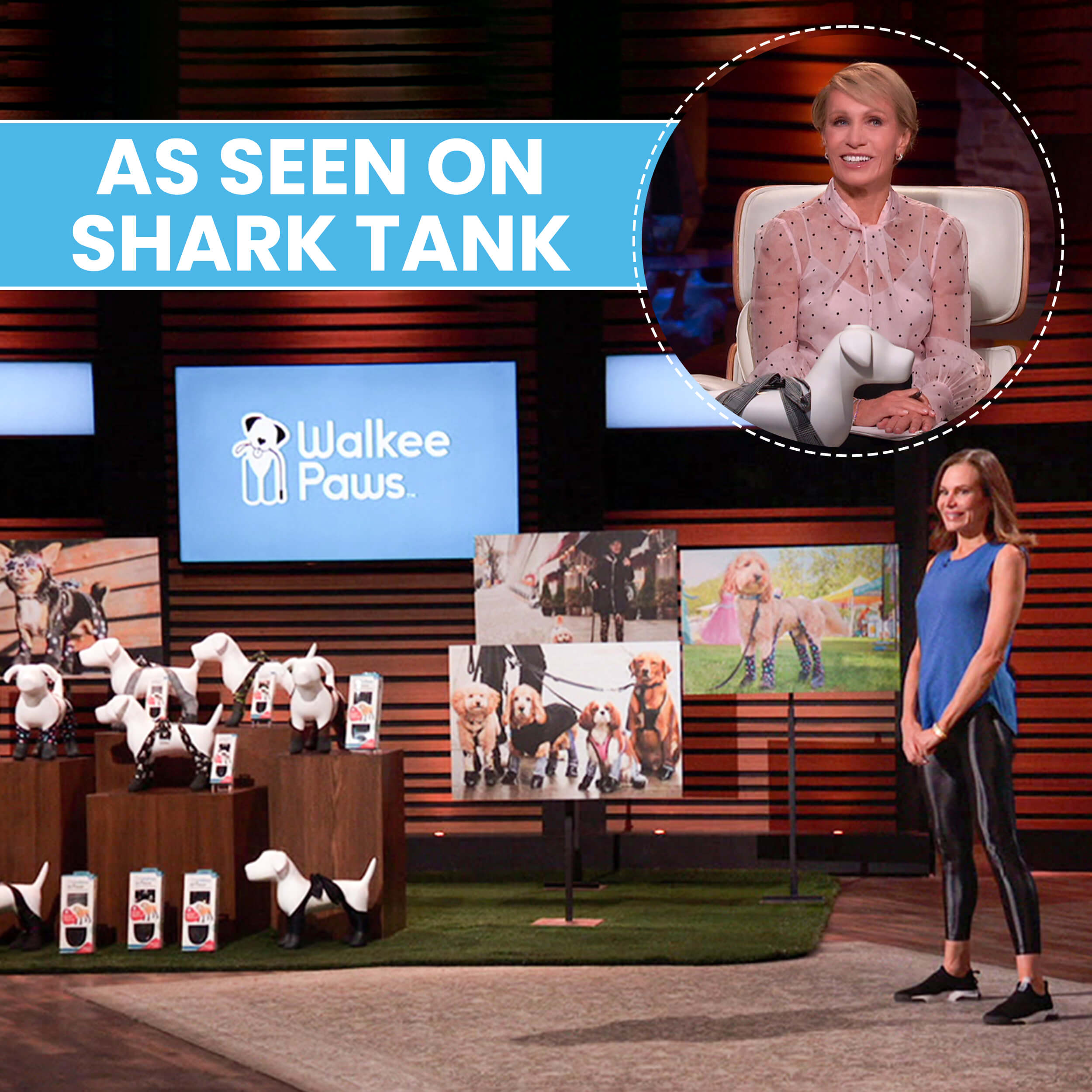 Woman presenting dog booties on a TV show set with poster of dogs wearing them.