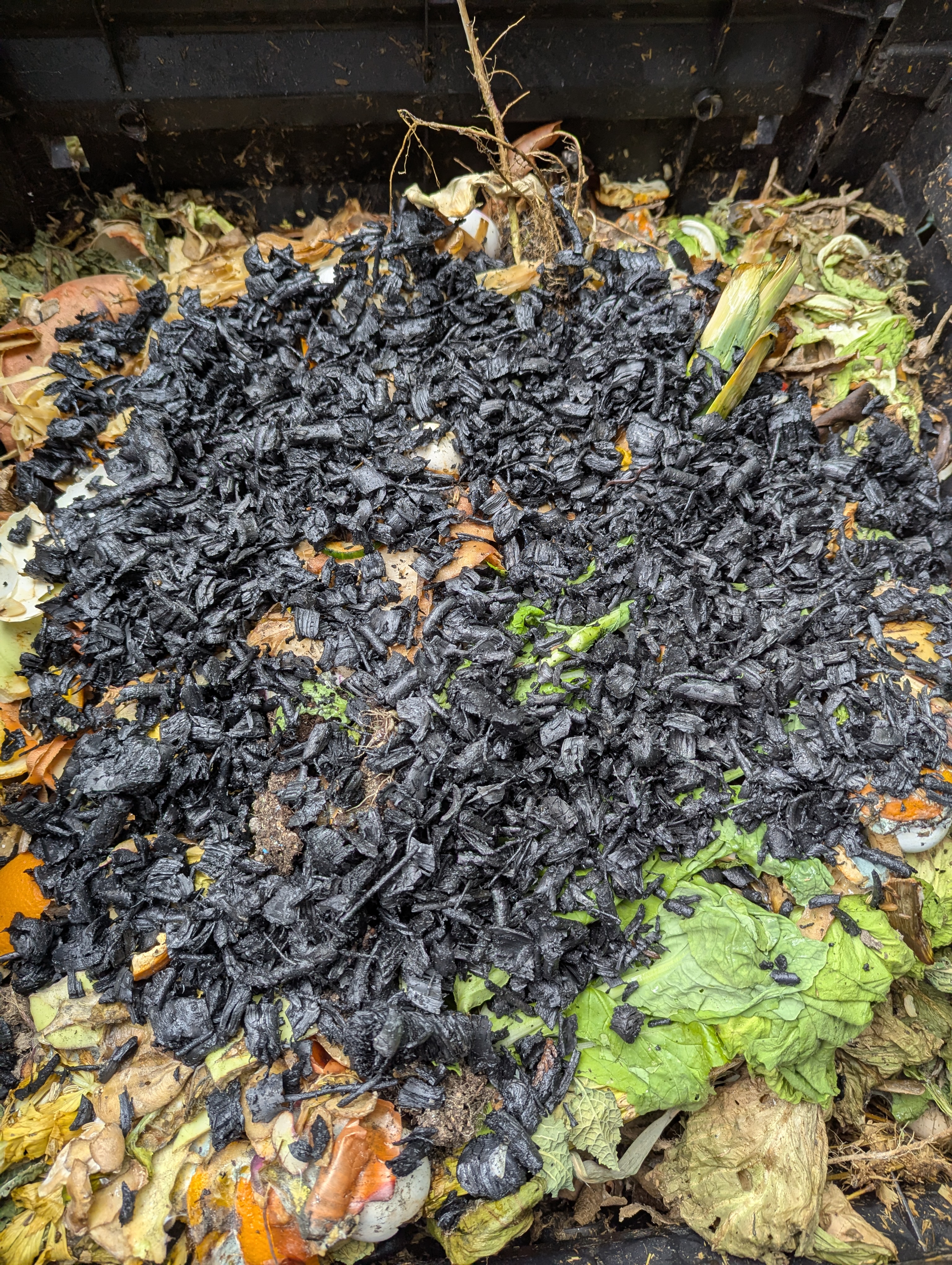 Compost pile with black biochar and various organic materials.