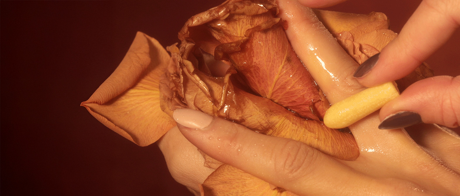 Hands holding a dried flower and a yellow capsule.