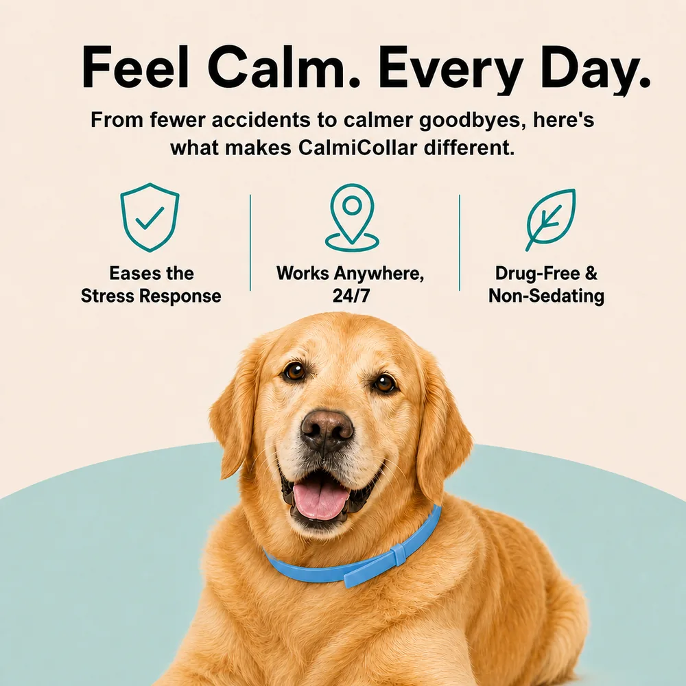 A happy Golden Retriever wearing a blue collar, with advertisement text and icons above it.