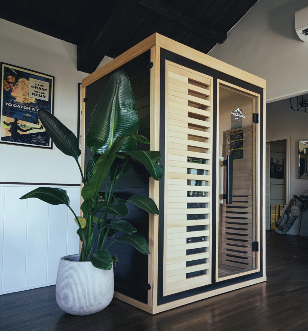 Wooden sauna cabin with glass door next to a large potted plant indoors.