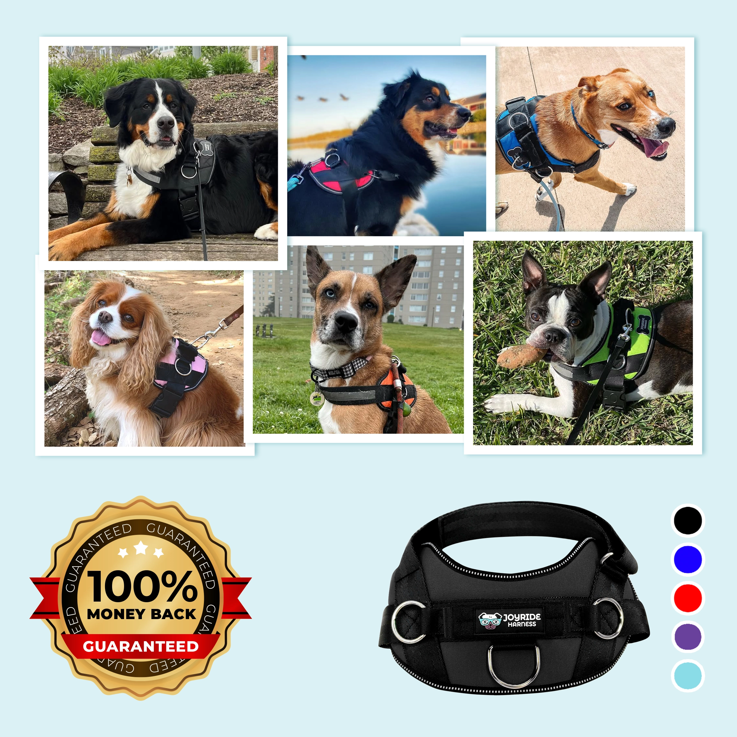 Collage of dogs wearing harnesses, with a money-back guarantee badge and harness color options.