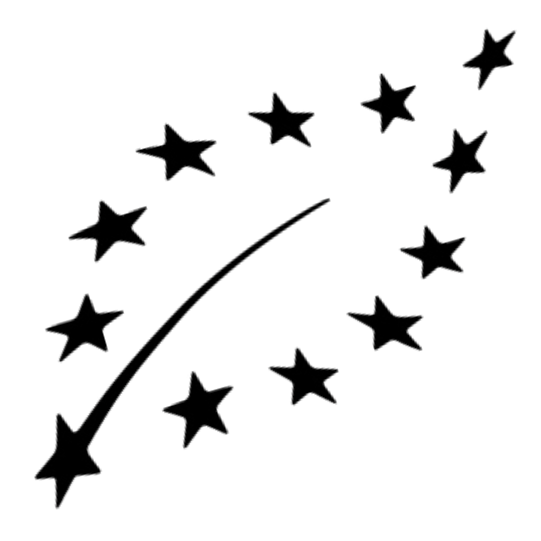 Black and white drawing of a shooting star with a trail.