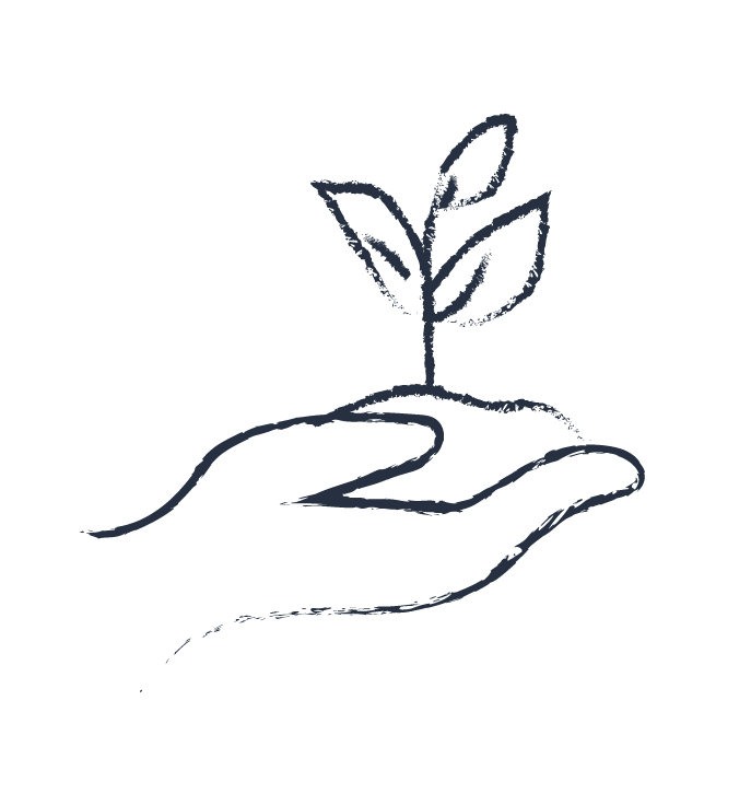 Simple line drawing of a hand holding a small plant.