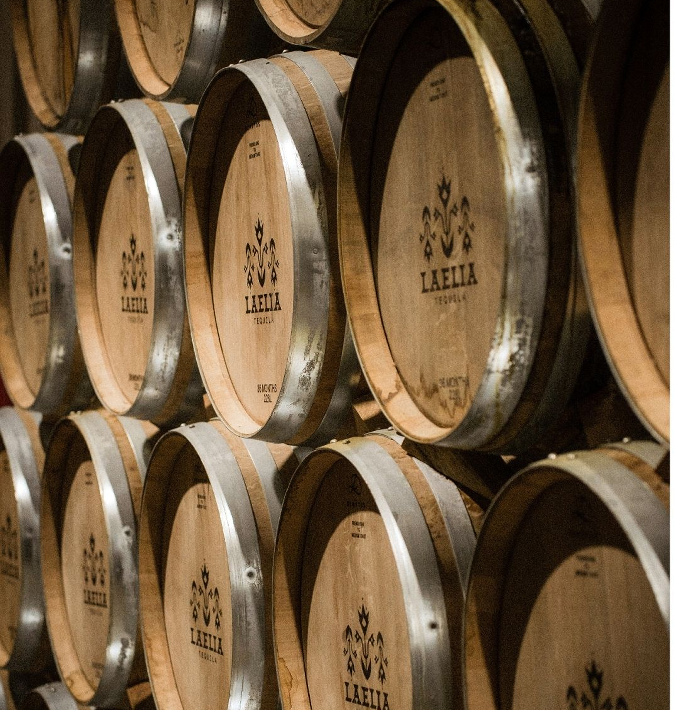 Stacked wooden barrels labeled 'Laelia Tequila' in a storage area.