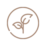 A line art icon of a plant sprout with two leaves inside a circle on a green background.