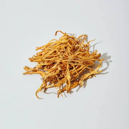 A pile of dried cordyceps mushrooms on a white background.