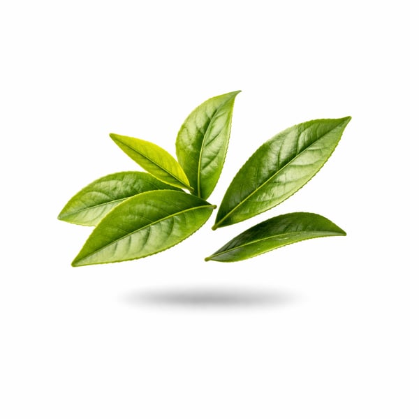 L-Theanine