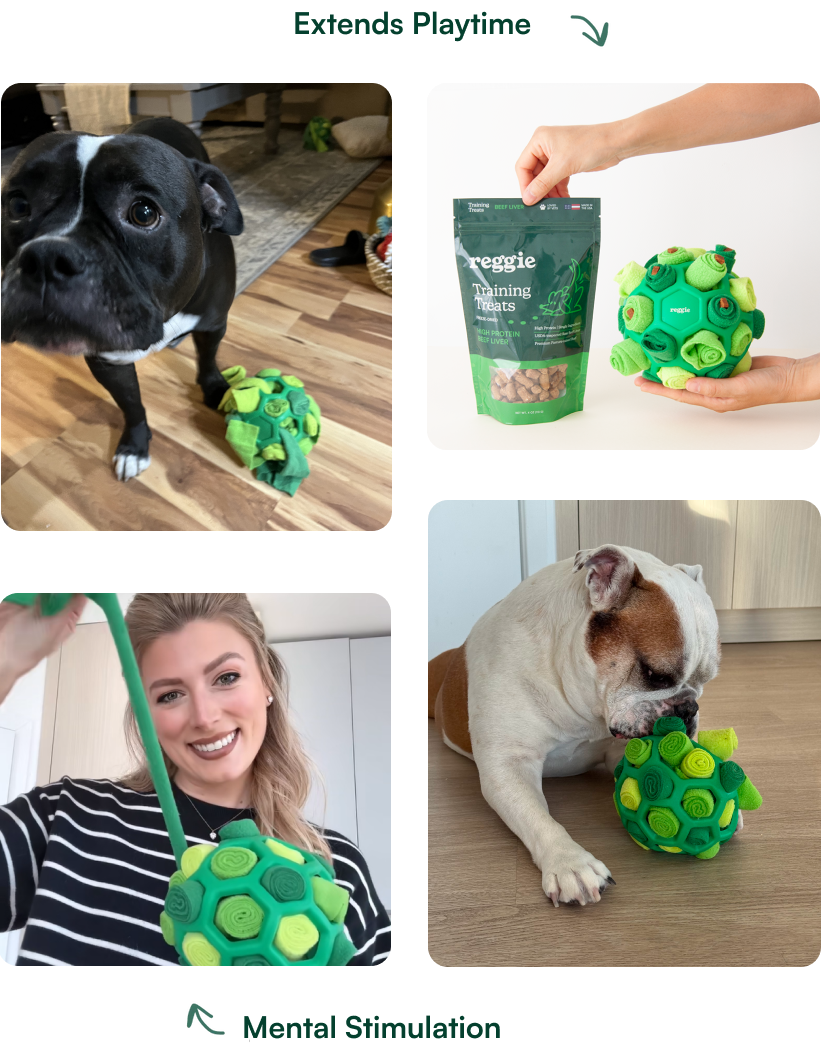 A collage of four images showing dogs and people interacting with a green puzzle toy and dog treats.
