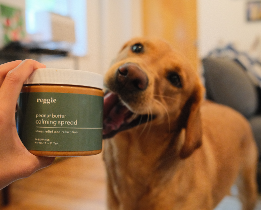 Person holding peanut butter jar with a happy dog in the background.