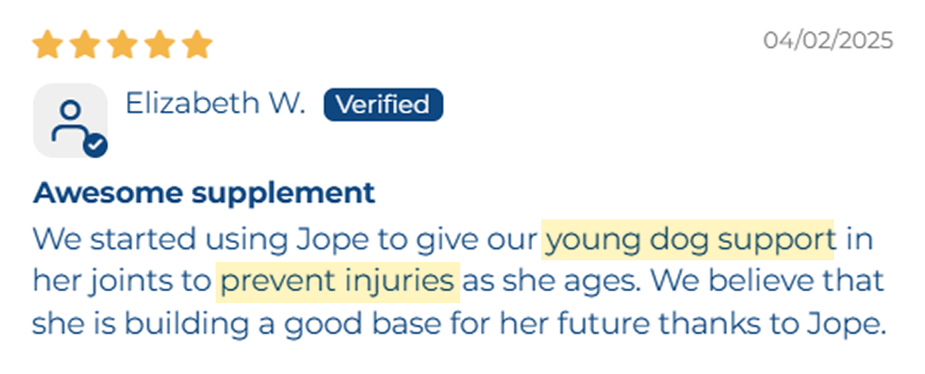 A 5-star verified customer review for Jope supplement, praising its ability to prevent dog joint injuries.