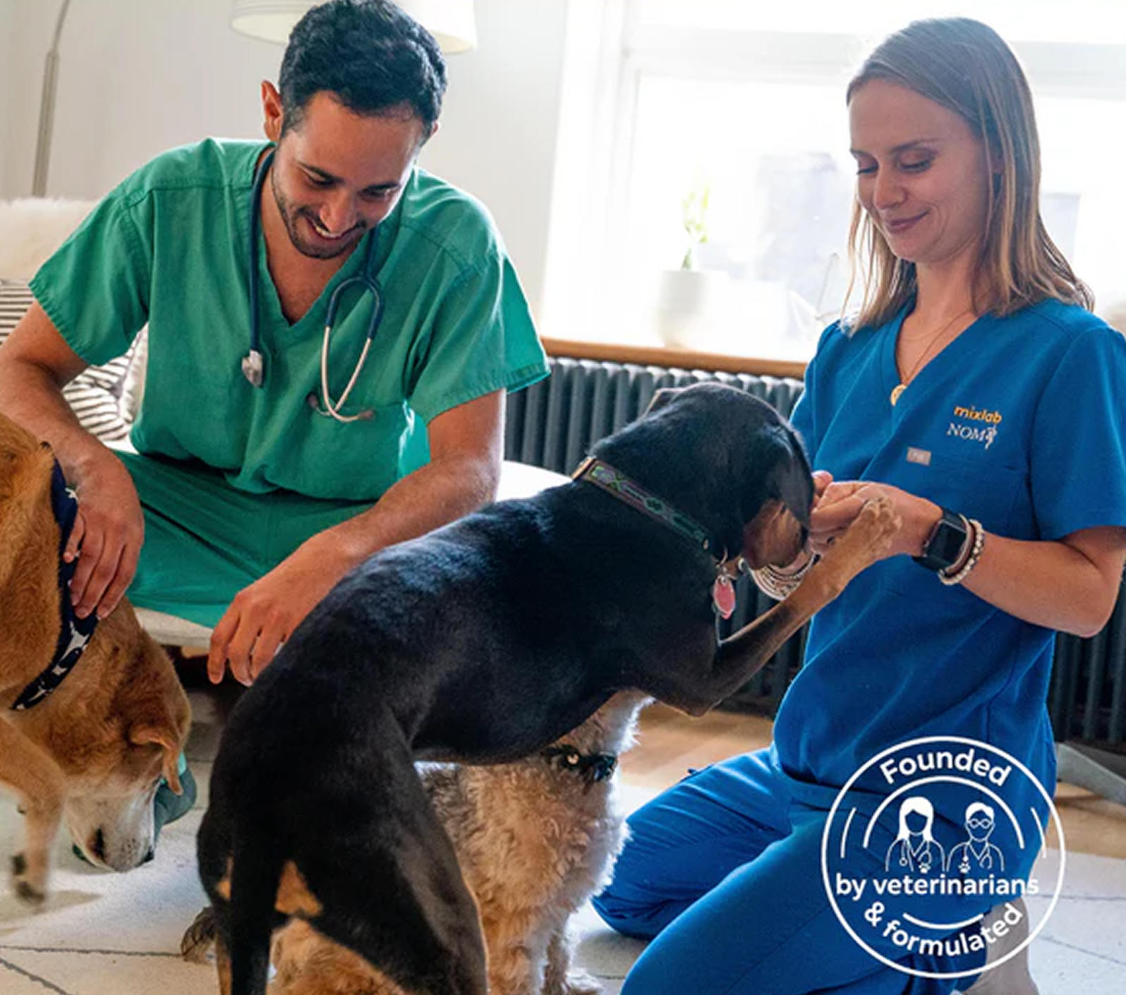 Two veterinarians in scrubs are smiling and interacting with three dogs on the floor of a room.