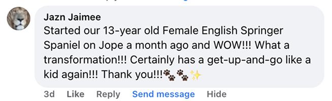 A Facebook testimonial from Jazn Jaimee about a product for her 13-year-old English Springer Spaniel.