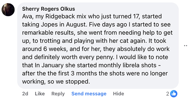 A screenshot of a social media comment from Sherry Rogers Olkus praising a product for her dog.