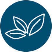 A white line drawing of three stylized leaves on a dark blue square background.