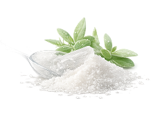 A pile of coarse salt with a clear spoon and sprigs of a dewy green herb.