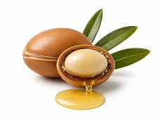 A whole argan nut and one cracked in half, with golden oil dripping from the kernel onto a white surface.
