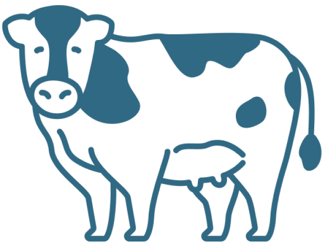 wondercow icon