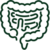 A dark green line icon of the human large and small intestines on a transparent background.