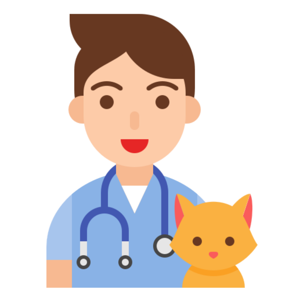 Cartoon veterinarian with a stethoscope and an orange cat.