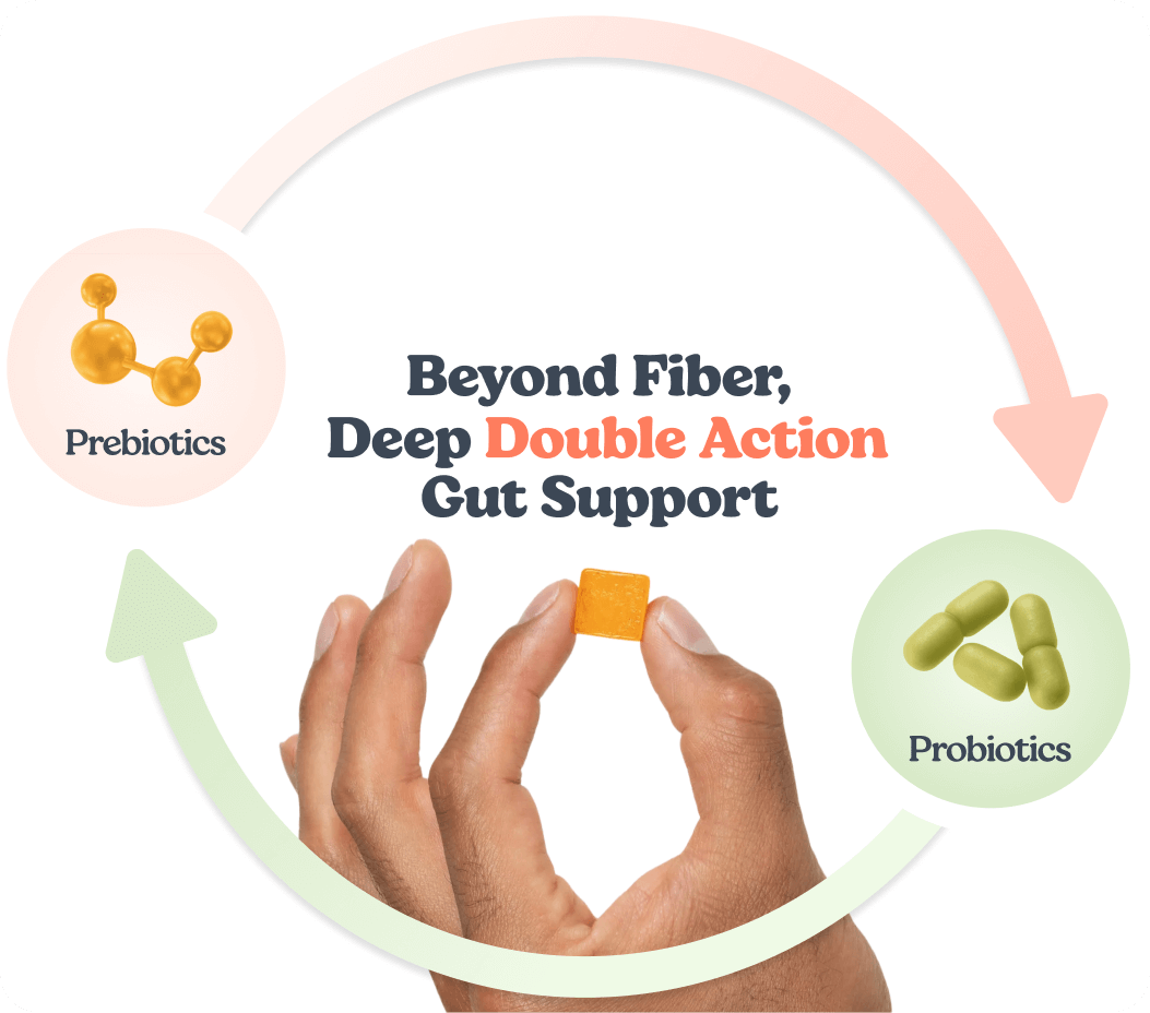 An infographic showing the relationship between prebiotics and probiotics, with a hand holding a supplement gummy.