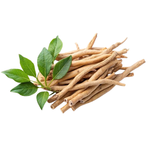 A pile of dried, light-brown roots with a small sprig of green leaves on a transparent background.