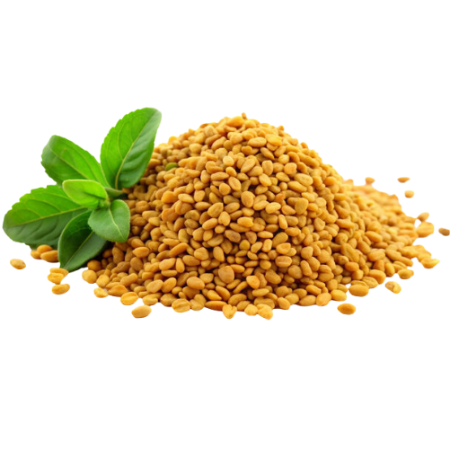 A pile of fenugreek seeds with a sprig of fresh green leaves against a transparent background.
