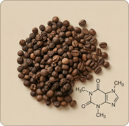 A pile of roasted coffee beans next to the chemical structure diagram for caffeine on a tan background.
