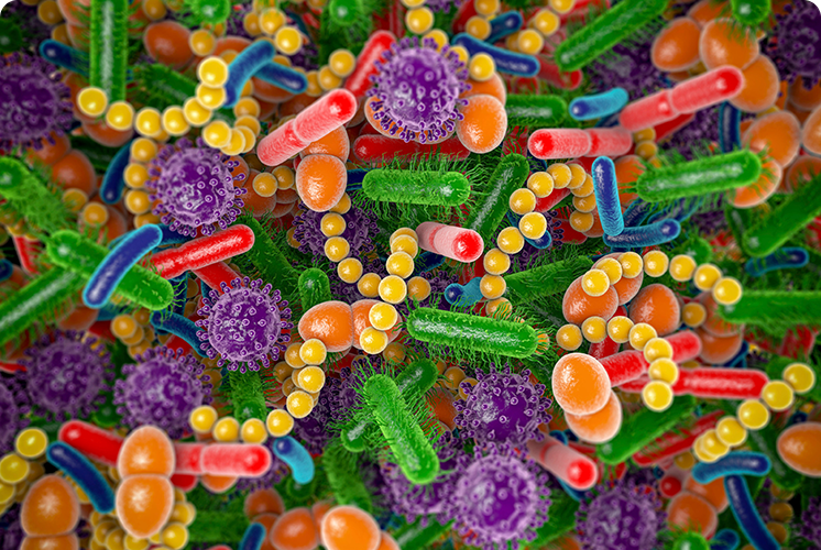 Colorful illustration of various bacteria and viruses in different shapes and colors.