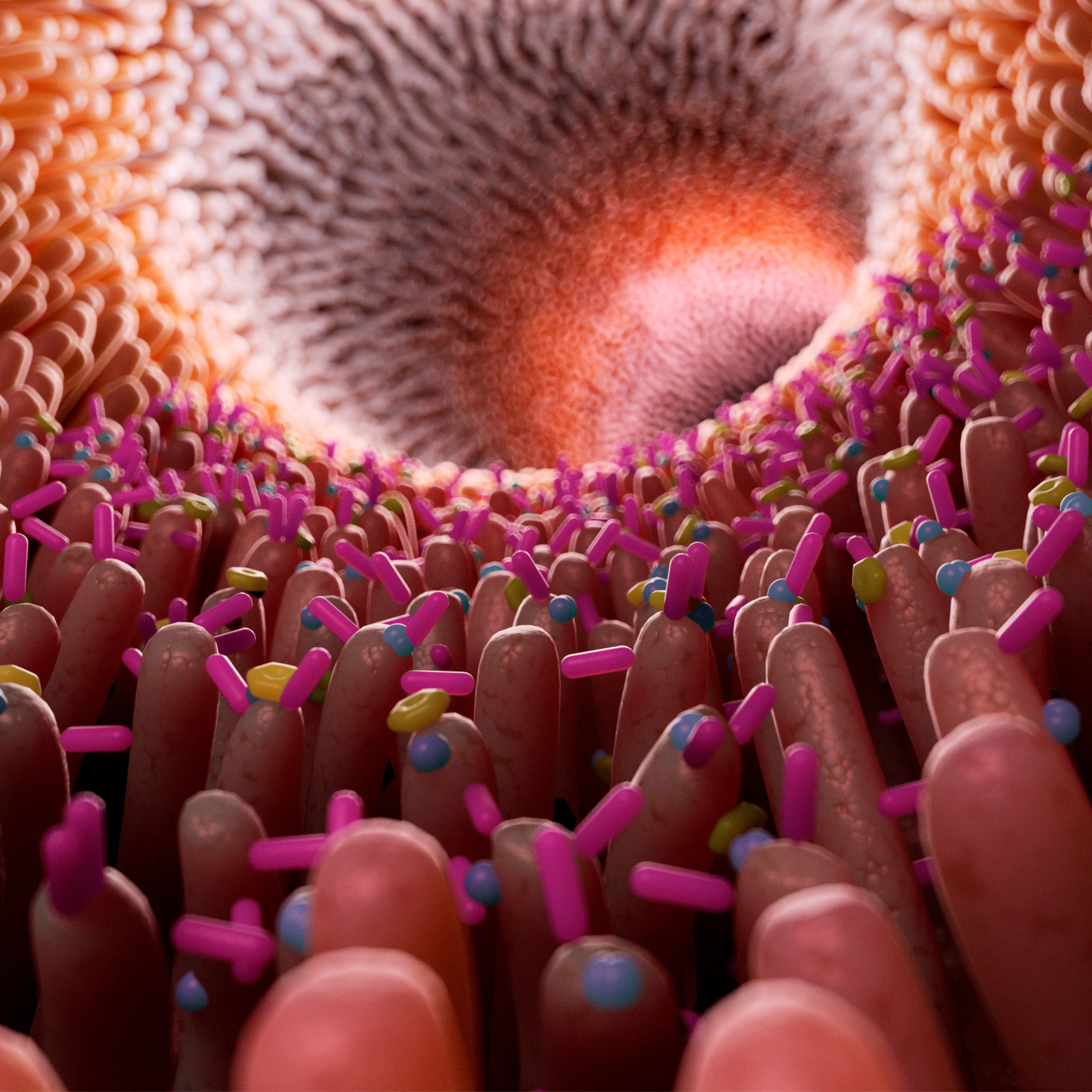 Colorful microscopic view of intestinal villi with bacteria.