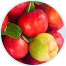 A close-up of small, shiny red and yellow-green fruits with a few green leaves in a circular frame.