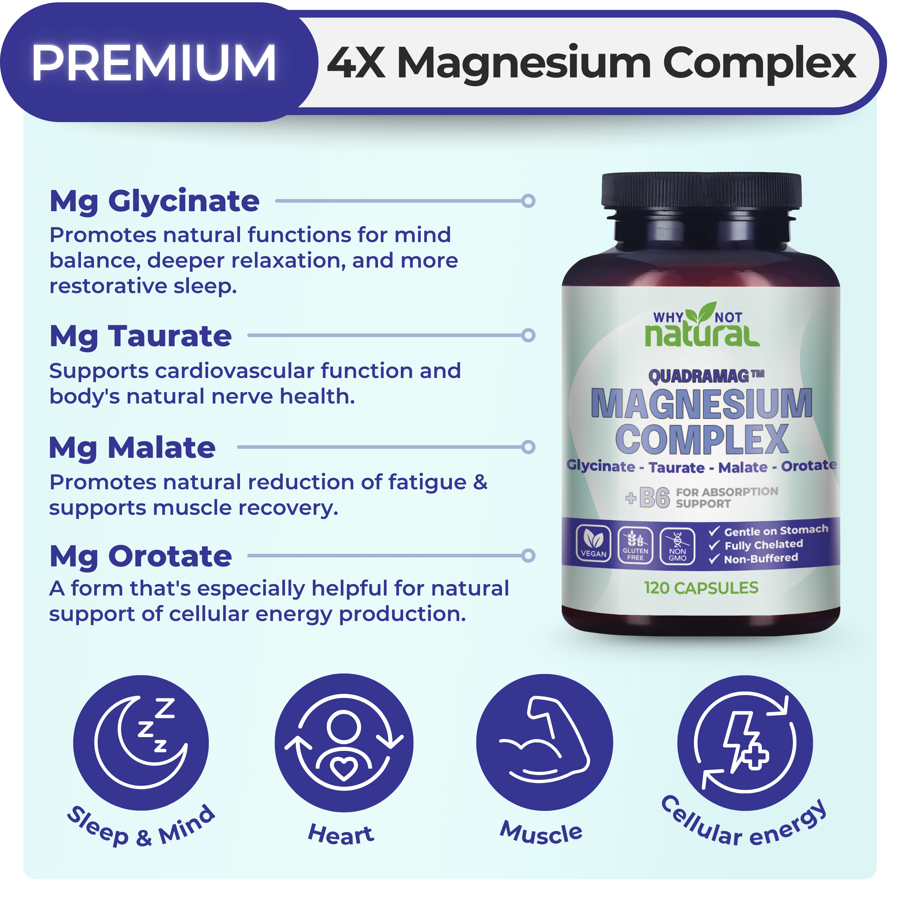 An infographic showing a bottle of Magnesium Complex supplement, listing its four types and their associated health benefits.