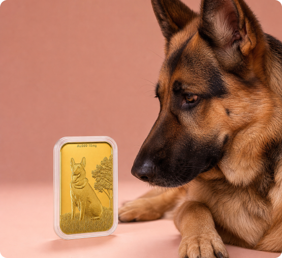A German Shepherd dog looks at a small gold bar which has an engraving of a dog on it.