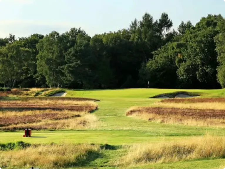 A scenic golf course with a green in the distance, flanked by sand traps and trees.