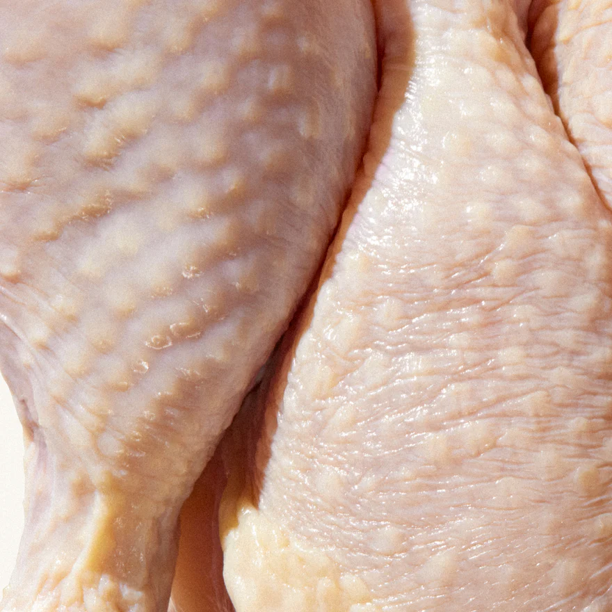 Close-up of raw chicken skin and texture.