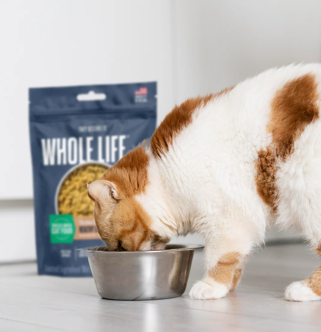 Cat eating from a metal bowl with food package in the background.