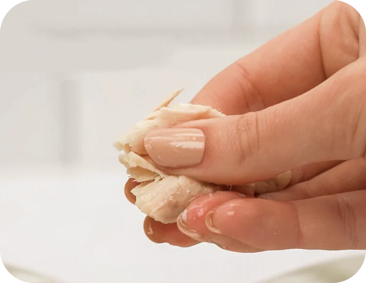 Hand shredding a piece of cooked chicken.