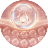 Hydrolyzed Collagen