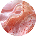 Salmon PDRN