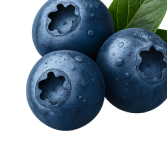 Three fresh blueberries with water droplets and green leaves.