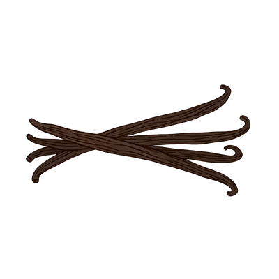 An illustration of a small bunch of dark brown vanilla beans against a white background.
