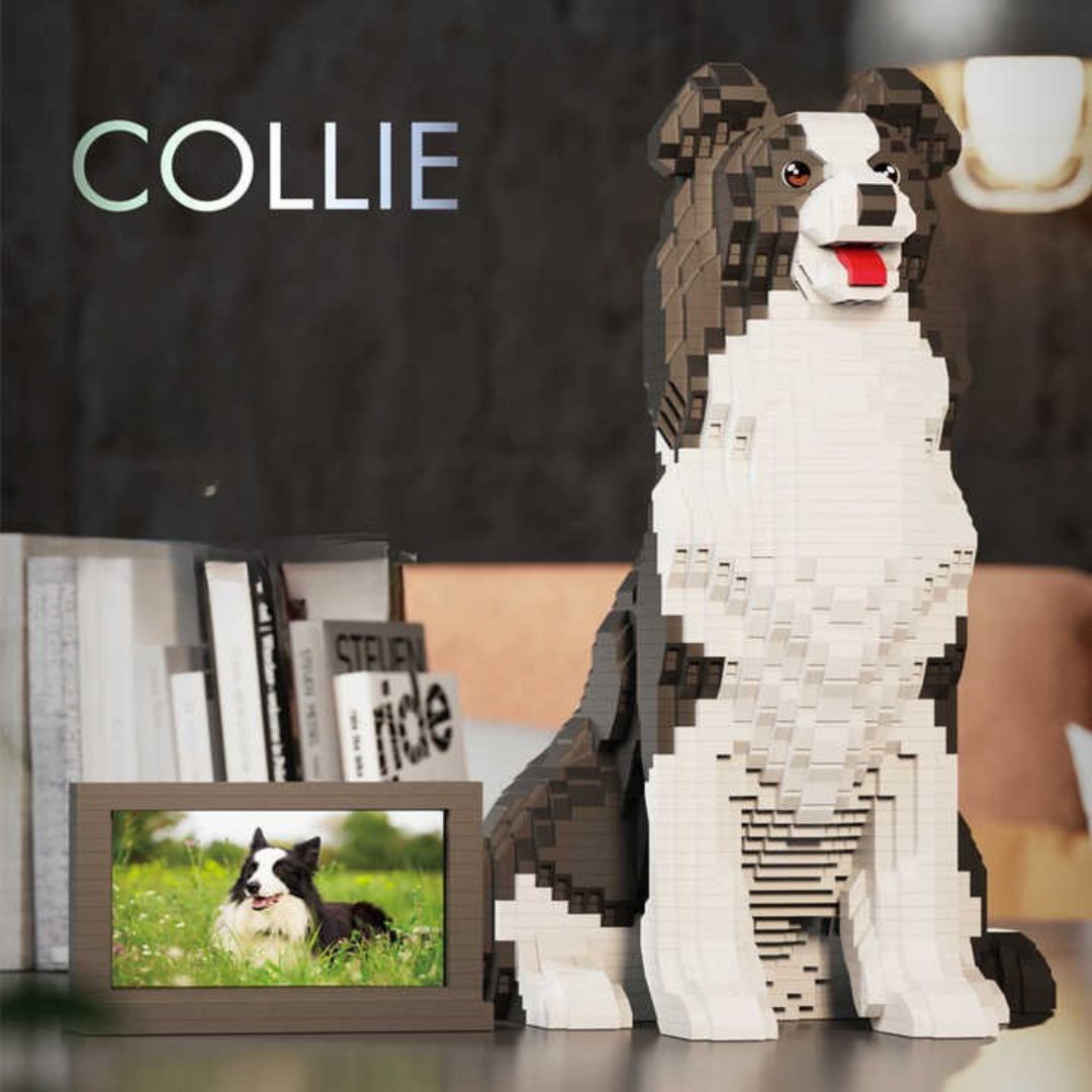 Lego-style Collie dog model next to a photo of a real Collie on a shelf.