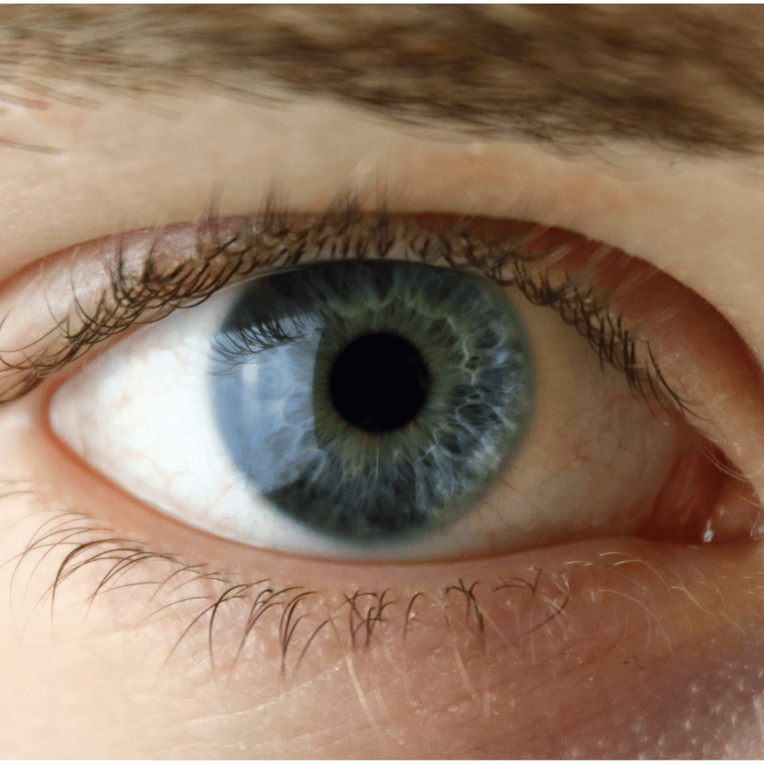 Close-up of a blue eye with detailed iris and eyelashes.