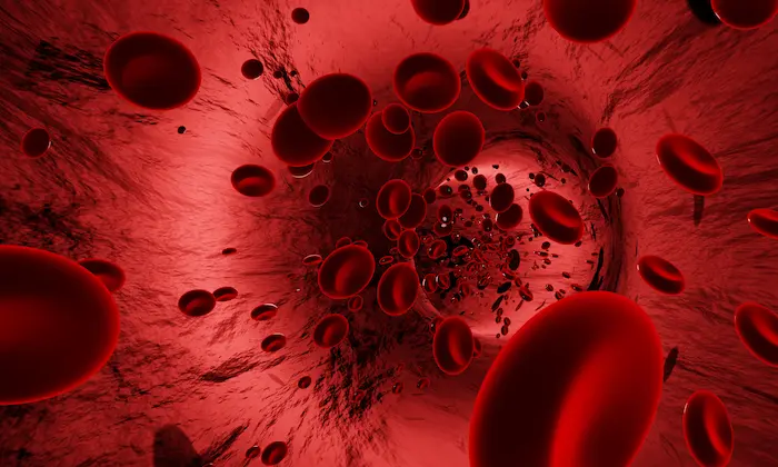 A digital illustration of red blood cells flowing through a blood vessel.