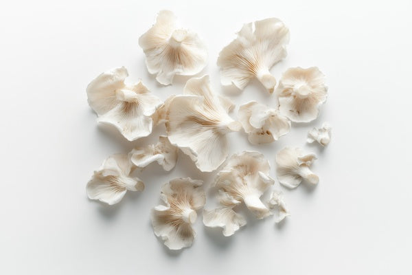 Various white mushroom caps scattered on a white background.