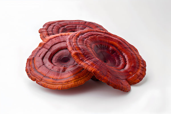 Three reddish-brown mushrooms with concentric rings displayed on a white background.
